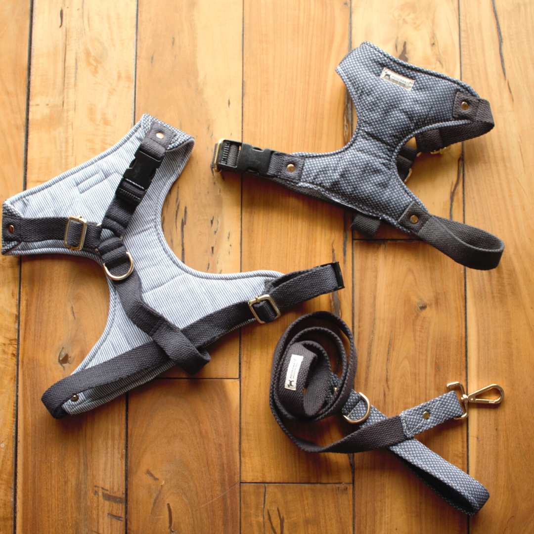 Cotton Chest Dog Harness | Body Belt for dogs online India