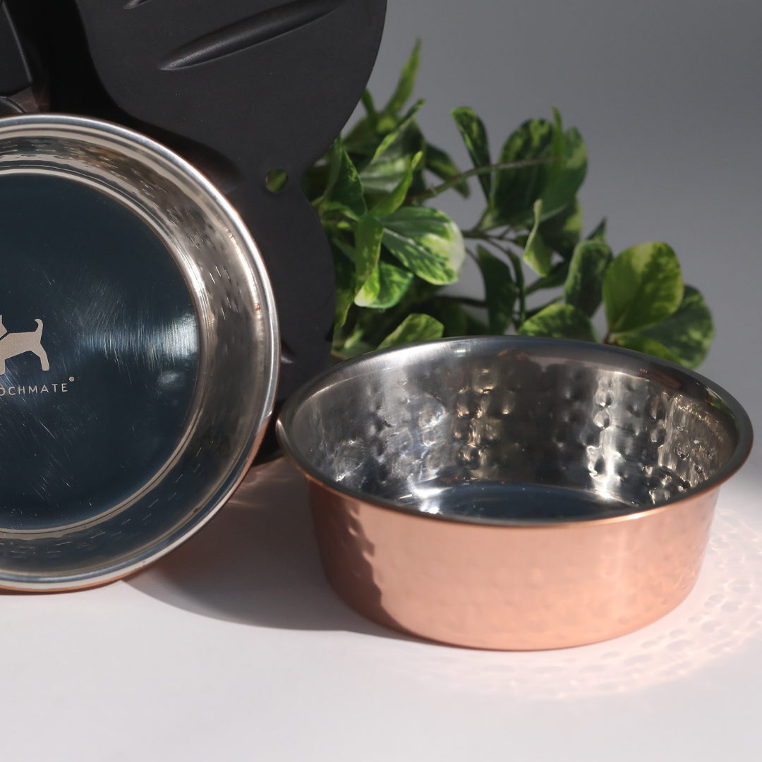 Hammered Copper Dog Bowls online India