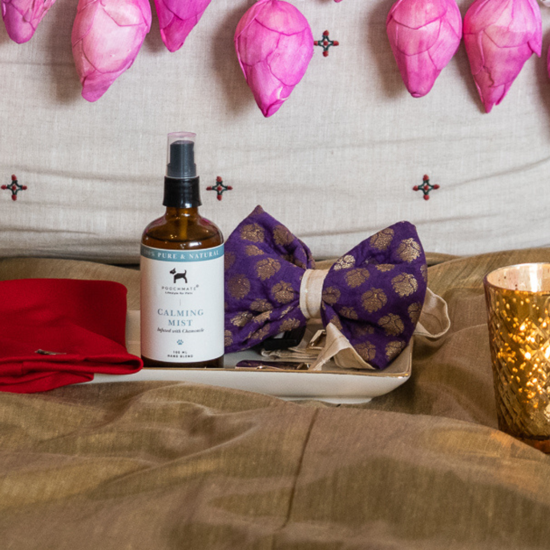 Diwali gifts for pets | Diwali gift hampers
