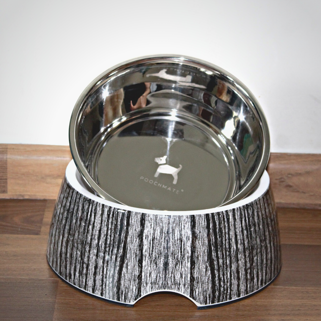 Stainless steel dog bowls online India | Dog bowls