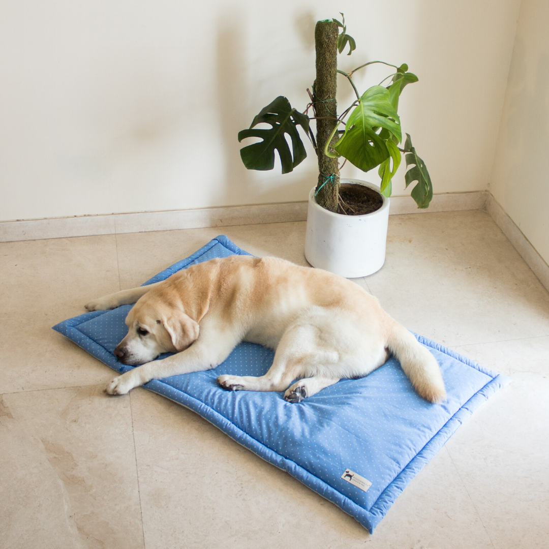 Pet mats online for dogs