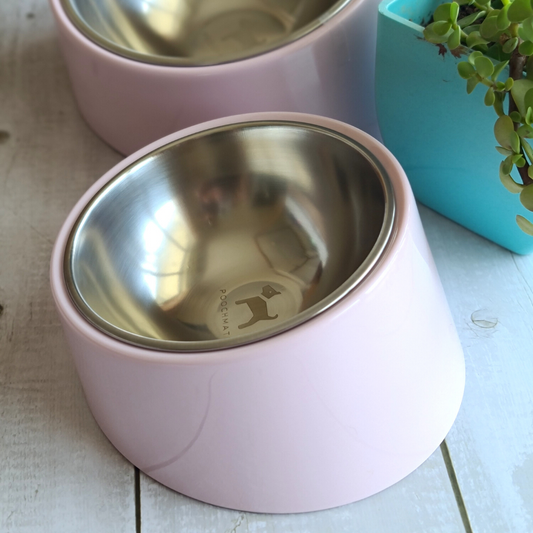 Flat Face dog Bowls | Slant Dog Bowls India