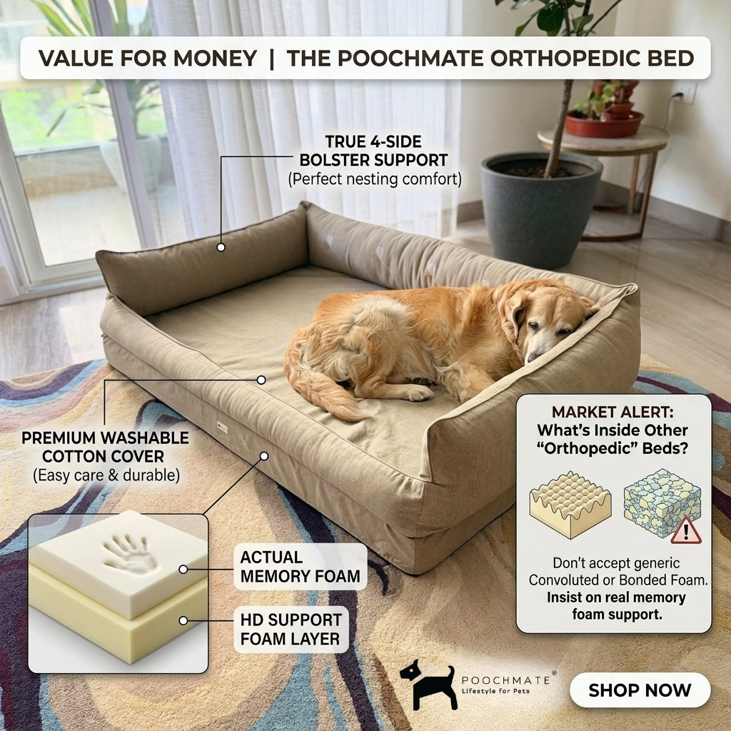 Orthopedic dog beds - how to choose the right one ?