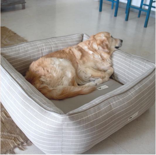 How Do I Choose the Right Bed for My Dog