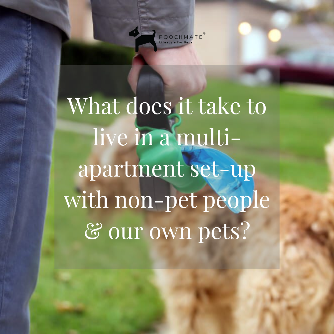 Co-Exist with pets in Harmony with others