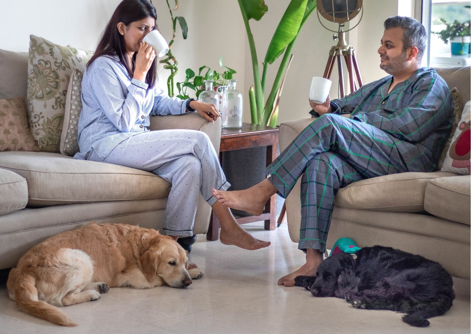 Cotton Nightsuits online India | Cotton Nightwear | PoochMate