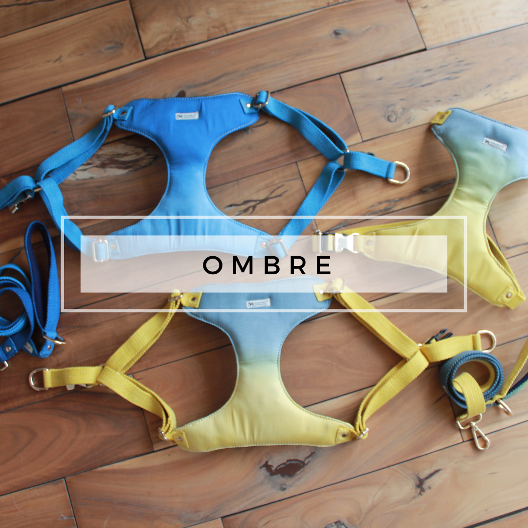 Pet Accessories Online India | Online pet store India