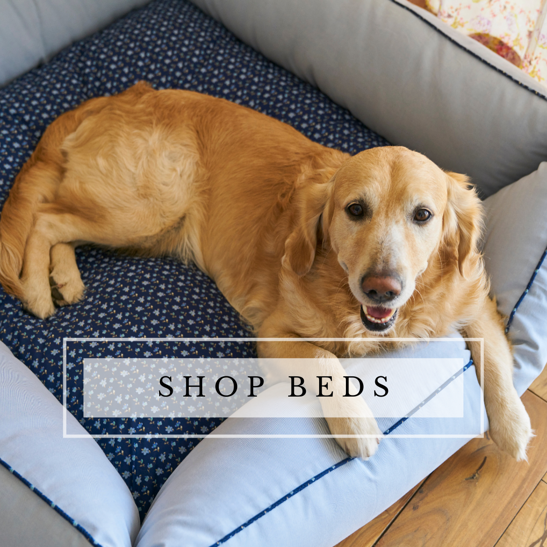 Cotton dog beds online India | Dog Beds Online India