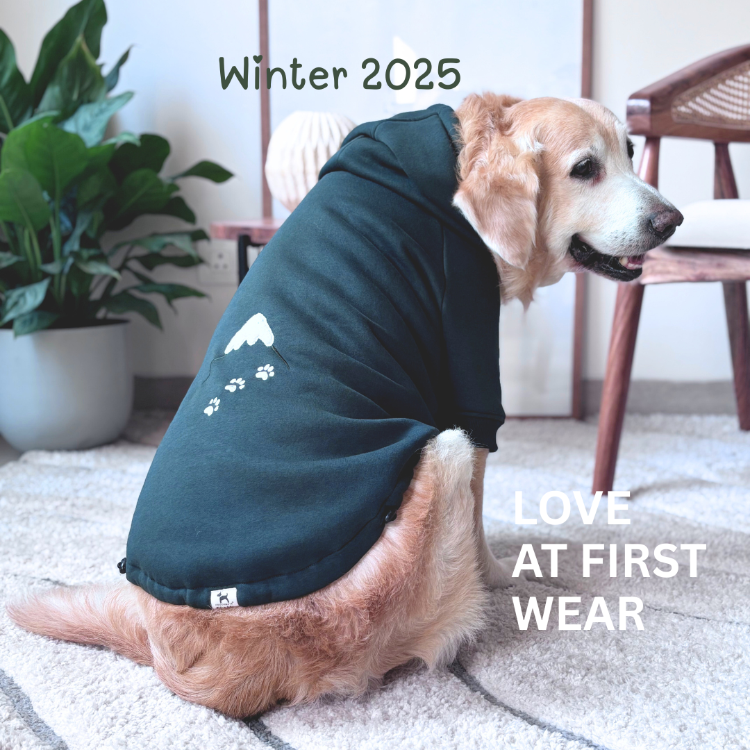 Winter 2024