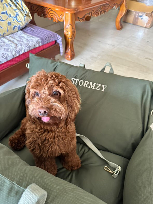PoochMate Dog Travel Bed Large : Forest Green