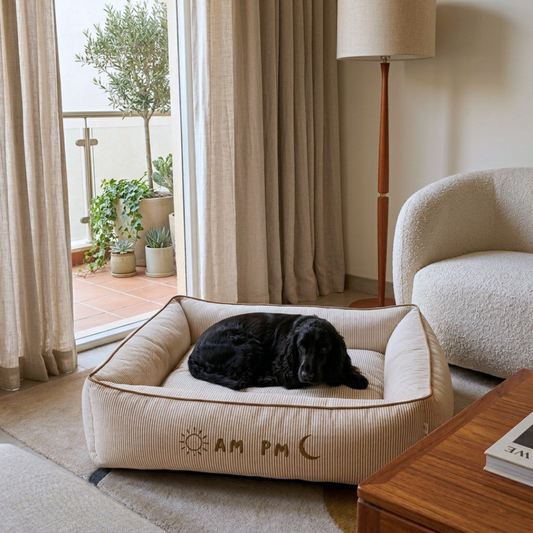 Cotton dog beds | Do bed with washable covers | Best dog beds online India | PoochMate dog Bed