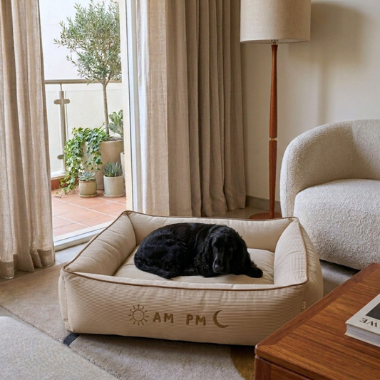 Cotton dog beds | Do bed with washable covers | Best dog beds online India | PoochMate dog Bed