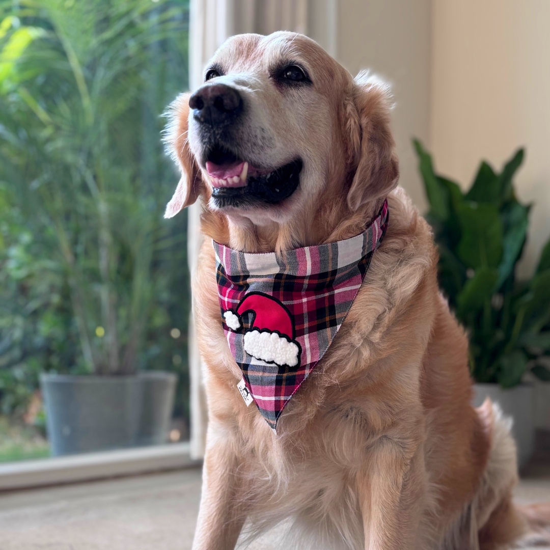 Christmas dog bana | Xmas dog bandana | Dog bandana for Christmas for dogs| PoochMate dog bandana