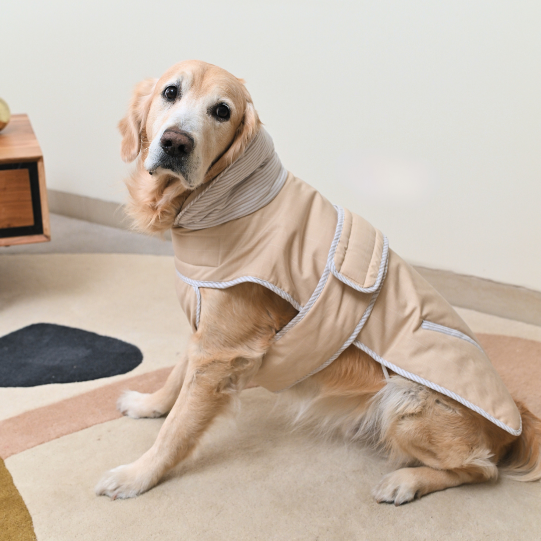 Cotton Quilted Dog Jackets | Best Dog Jackets online India