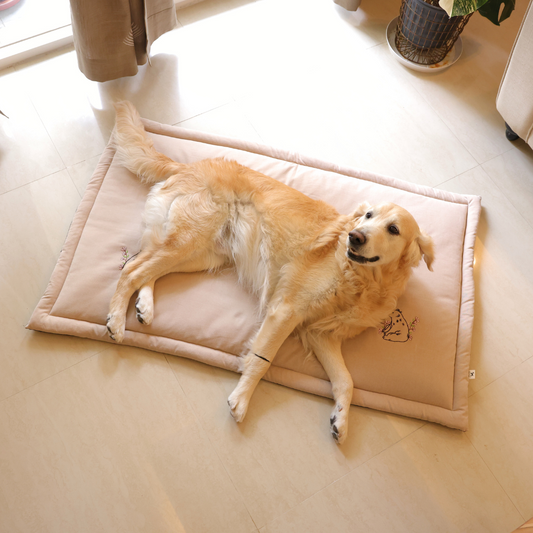 Large dog mats | Large Pet Mats | Cotton Mats for dogs