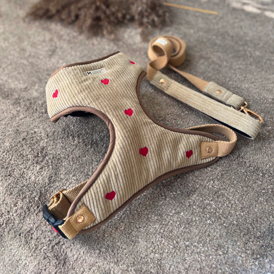 Dog Harness & Leash India| Dog Walking Harness | Cotton dog harness India| Pet Harness Sets | PoochMate Harness 