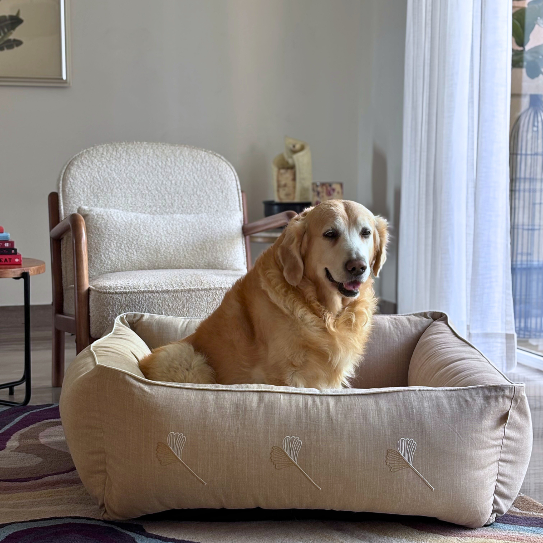 Large dog beds with removable covers | Cotton washable dog beds online India