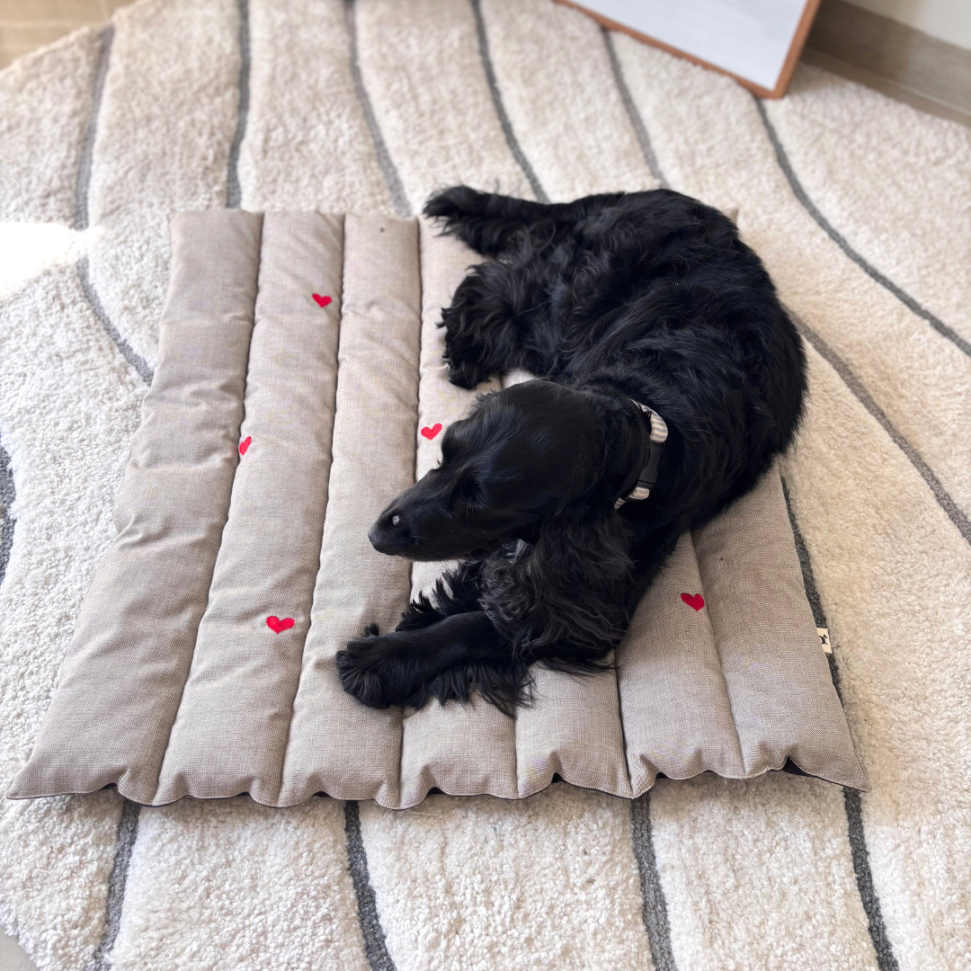 Dog Mats online India | Best Pet Mats online India