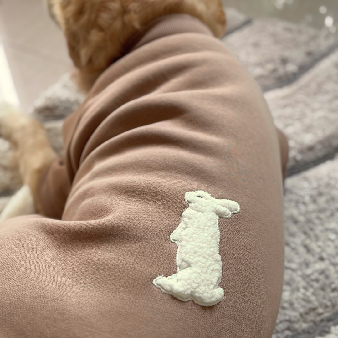 Dog hoodies online India | best dog winter clothes online India