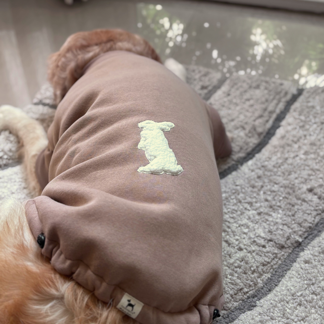 PoochMate Sweatshirts | Dog Hoodies online India