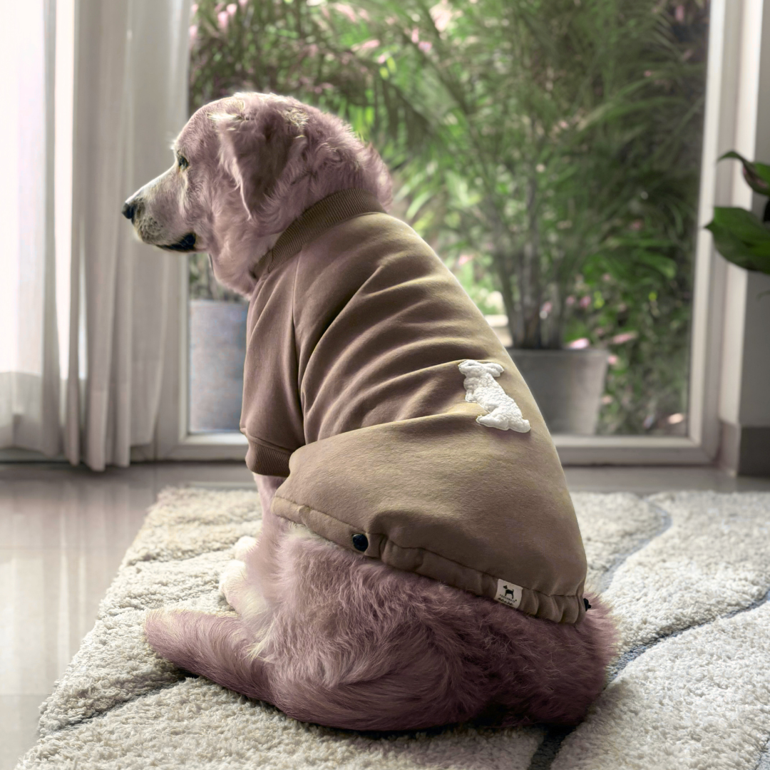 Winter clothes for large dogs | Hoodie for golden retrievers | Best winter jackets for dogs