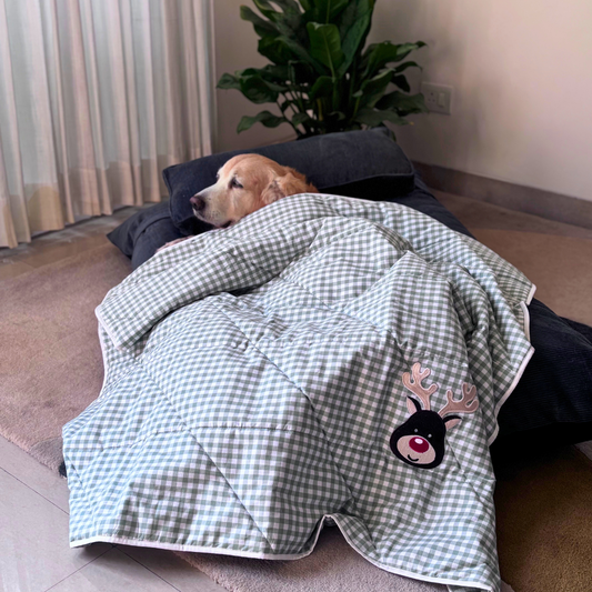 PoochMate Green Checkered Reindeer Dog Blanket