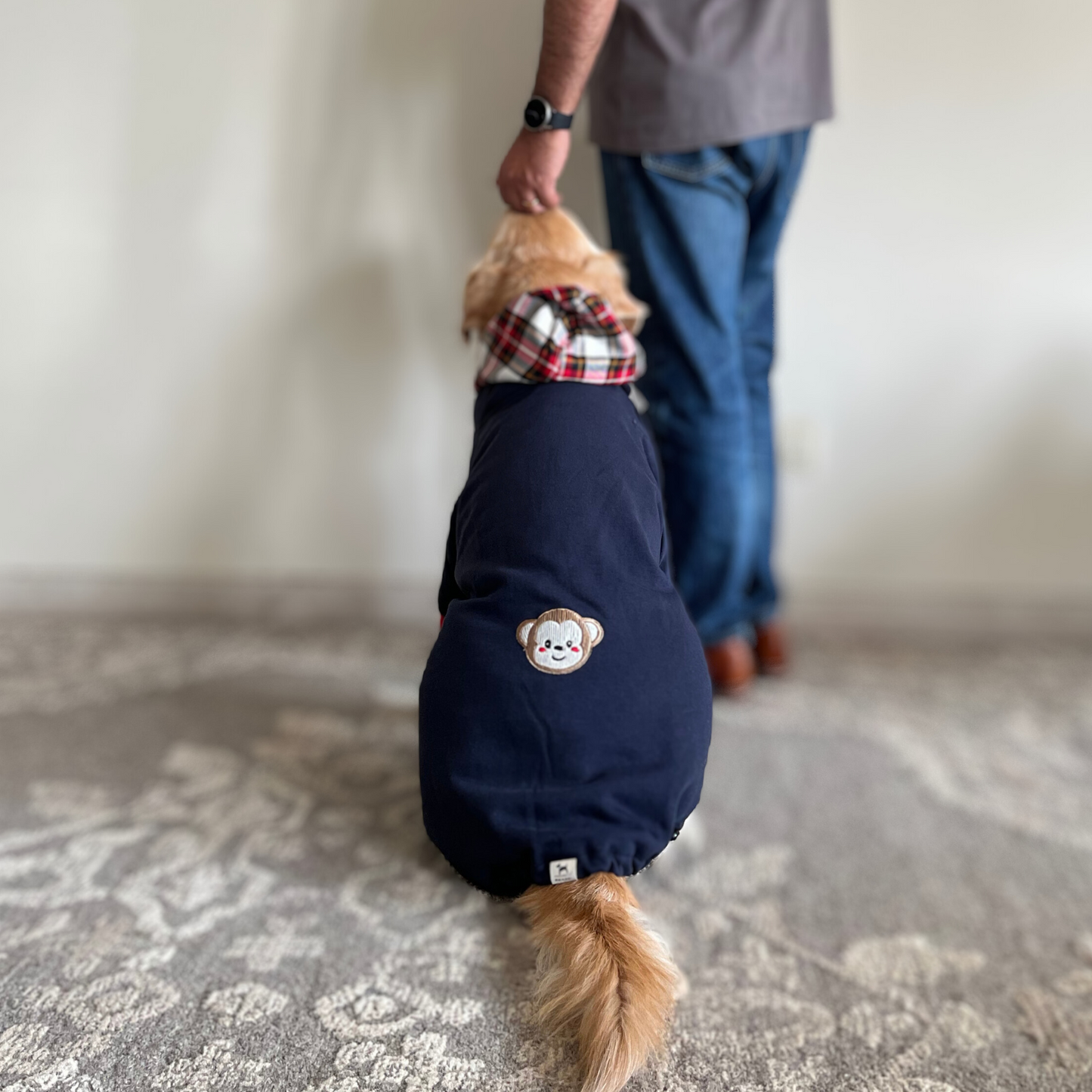 Dog Sweatshirt | Large dog winter clothes online