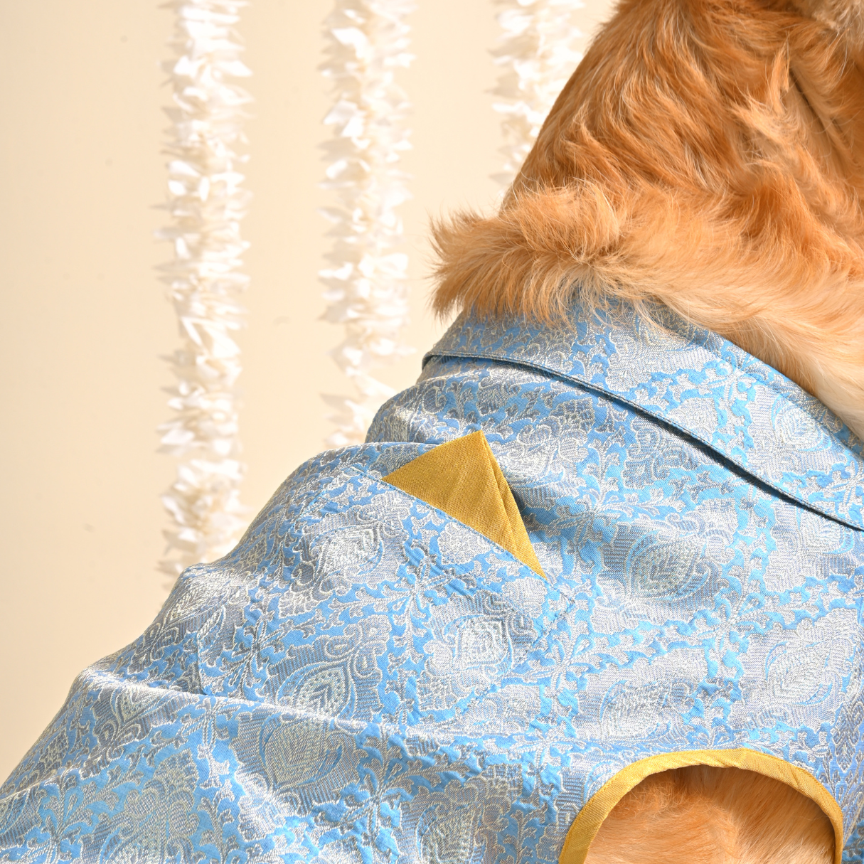 Wedding dog clothes | Festive dog clothes online India