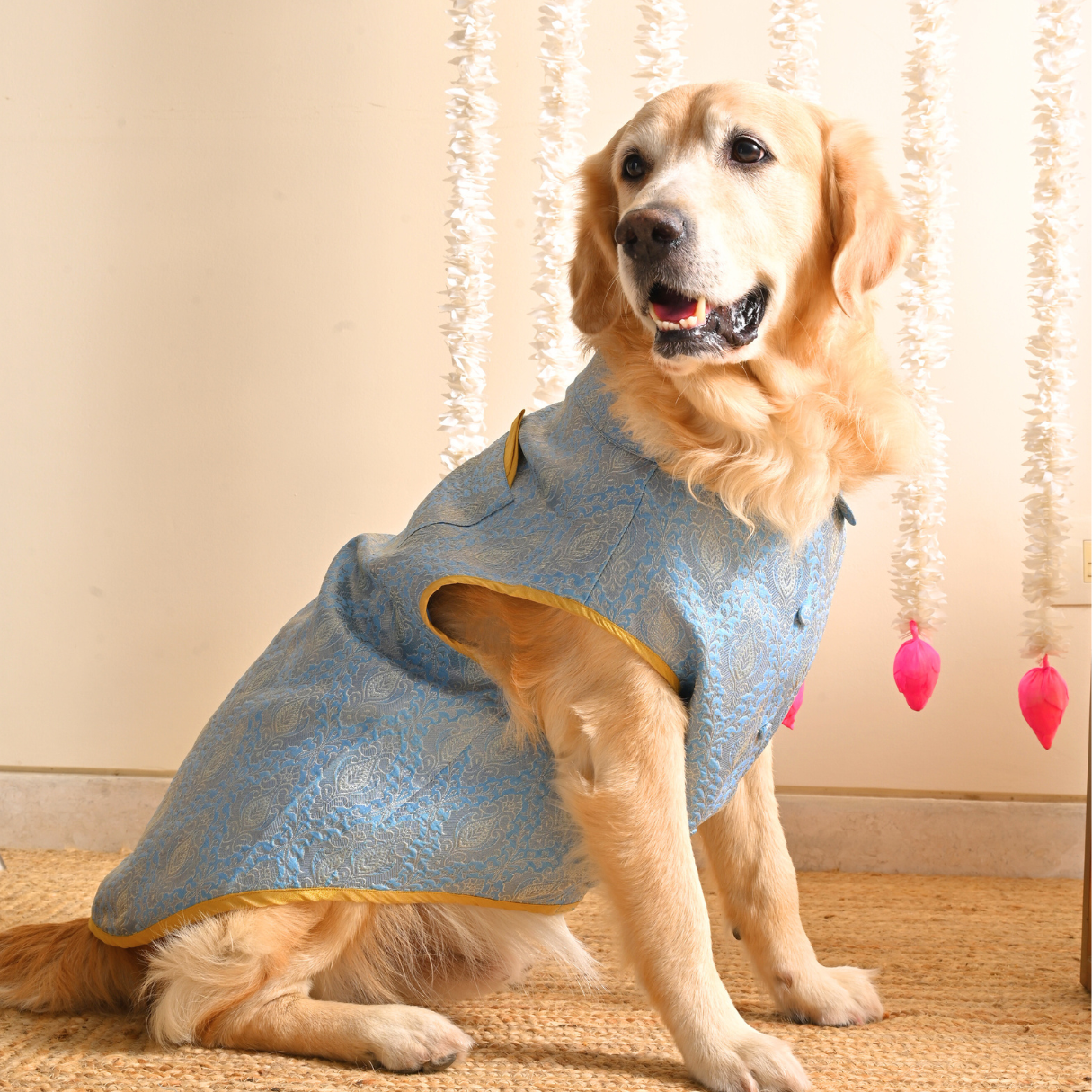 Diwali Clothes for dogs India | Wedding clothes for pets India