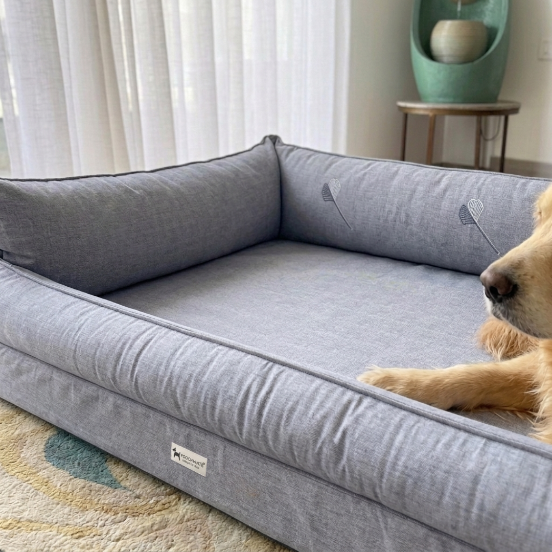 Orthopaedic dog beds| Memory foam dog beds| Memory foam dog sofa bed | Memory foam dog bed with raised sides | PoochMate memory Foam Dog bed| best memory foam dog beds India