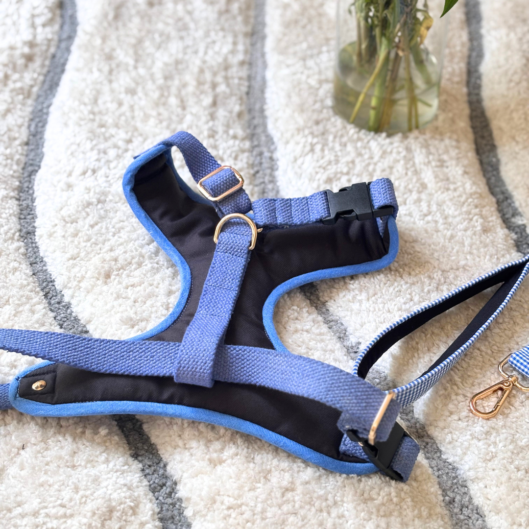 Cotton Dog Harness & leash Set | PoochMate Dog Harness