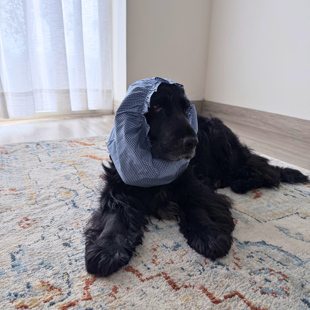 Dog Snood online India | Dog Snood for Cocker spaniel | Dog Snood for eating | ear cover for dogs with long ears | PoochMate Dog Snood | Dog Snood for ears