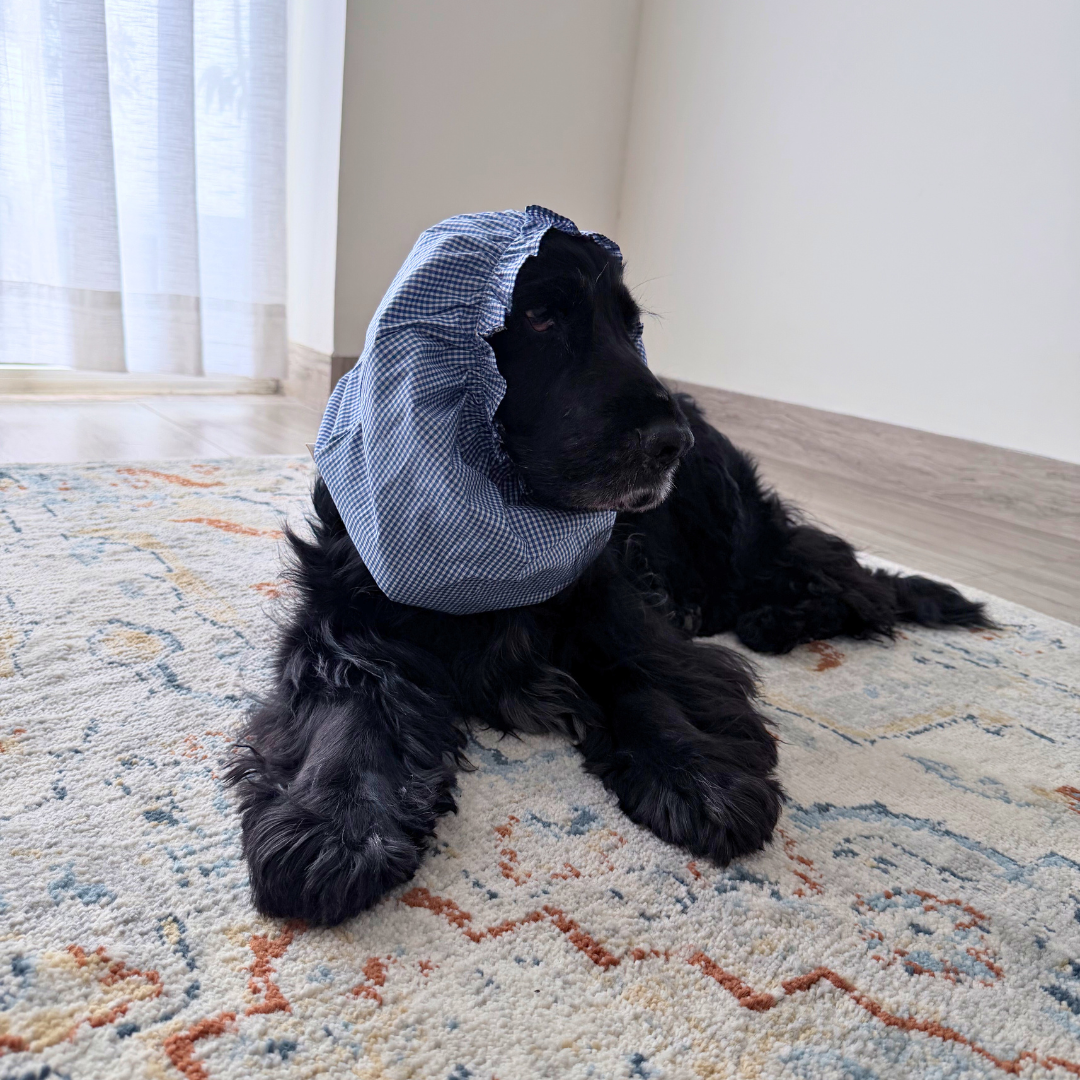 Dog Snood online India | Dog Snood for Cocker spaniel | Dog Snood for eating | ear cover for dogs with long ears | PoochMate Dog Snood | Dog Snood for ears