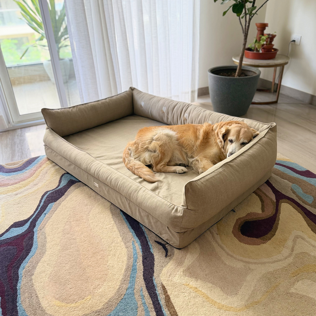 Orthopaedic dog beds| Memory foam dog beds| Memory foam dog sofa bed | Memory foam dog bed with raised sides | PoochMate memory Foam Dog bed| best memory foam dog beds India
