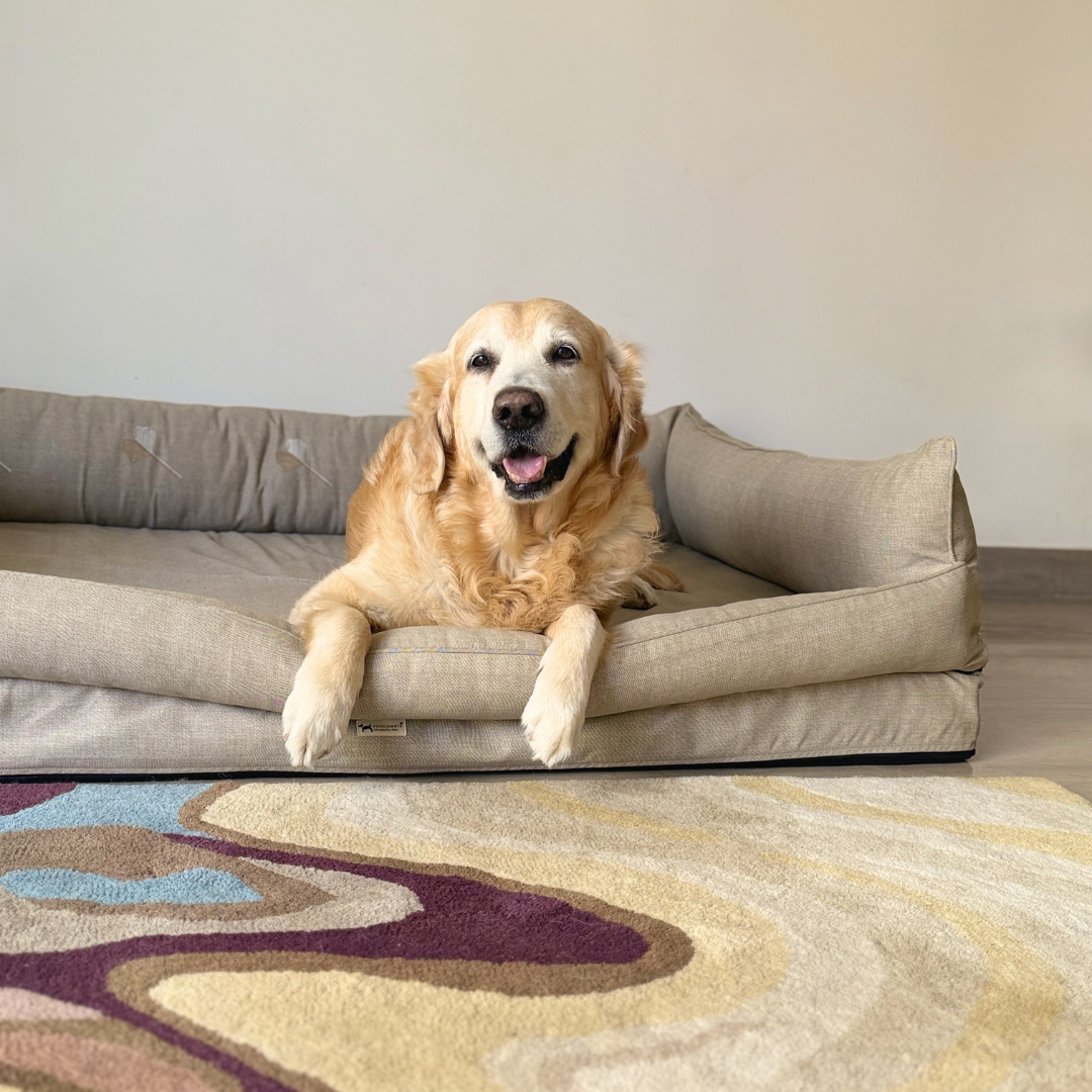 Orthopaedic dog beds| Memory foam dog beds| Memory foam dog sofa bed | Memory foam dog bed with raised sides | PoochMate memory Foam Dog bed