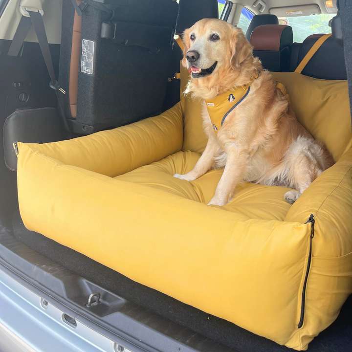 Online Pet Store Dog Beds Dog Collars Dog Clothes PoochMate