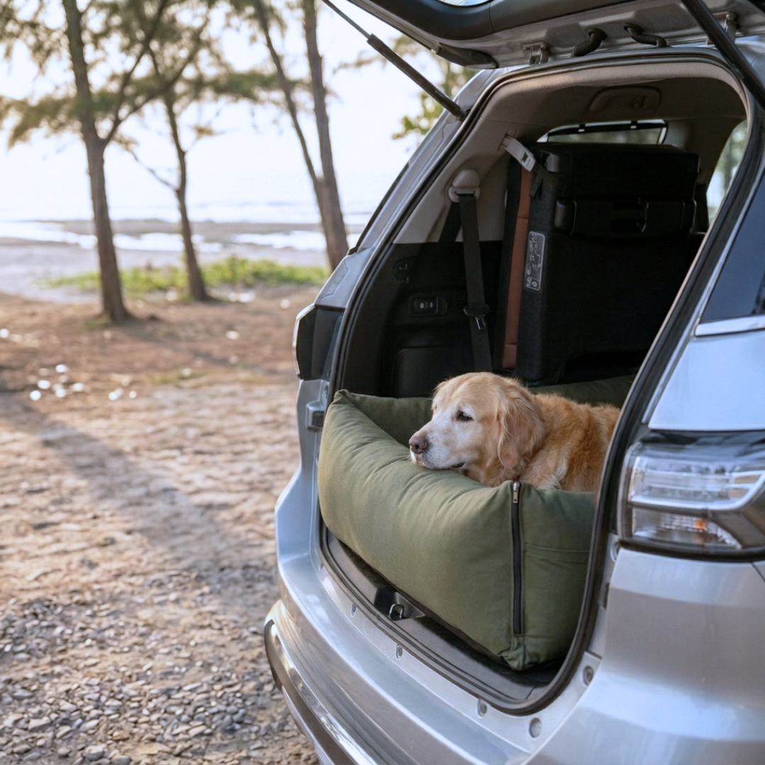 Large dog travel bed | Dog Car Seat for Boot | Boot Travel beds for dogs | Boot car seat covers for dogs India | PoochMate Travel bed