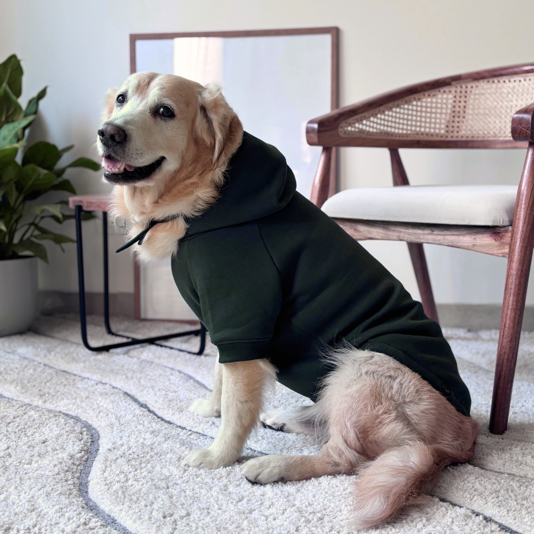 Dog Sweatshirts | Dog Hoodies | Large dog winter clothes