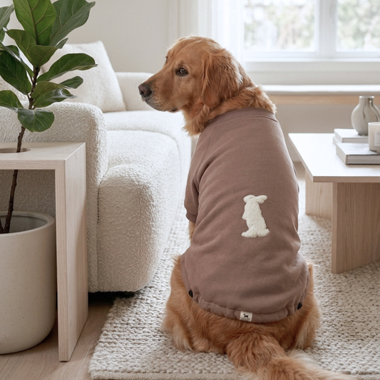 Winter dog clothes | Sweatshirts for dogs | Dog Hoodies online India