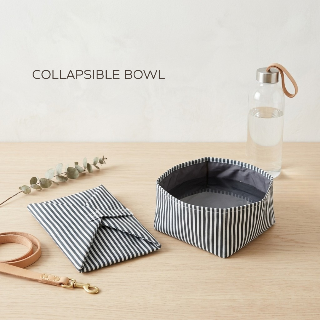 Dog Travel Essentials online India | Collapsible do bowl | Dog travel bowl | dog bowl for travelling | foldable dog bowl | Dog travel essentials India | PoochMate India