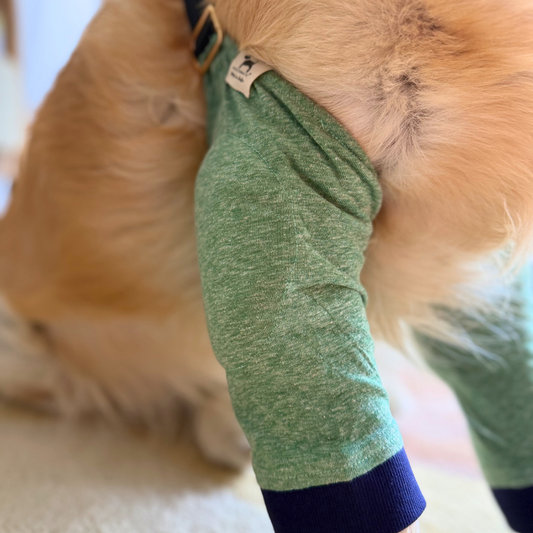 The Bosco Comfort Line : Callus Elbow Protector for Dogs