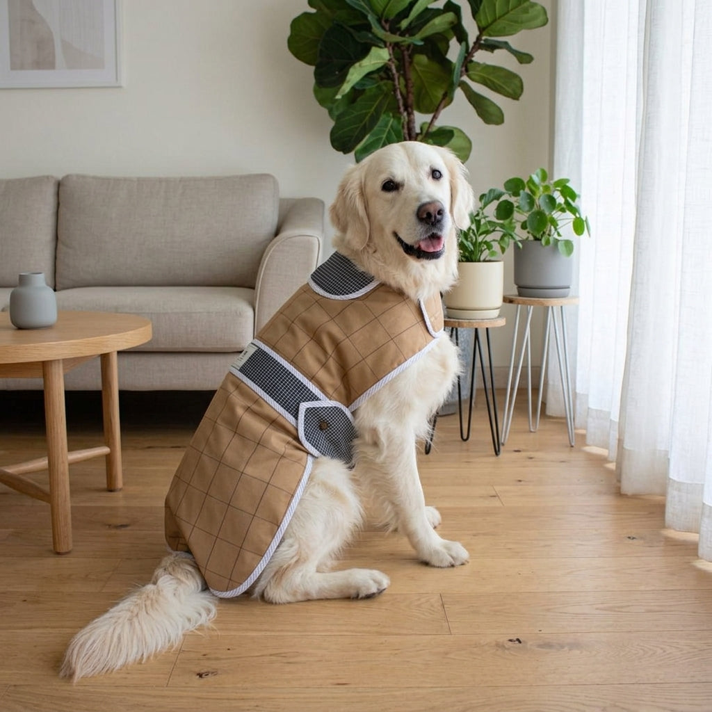 Quilted dog jackets online India | Dog winter clothes | Dog winter clothes online India | Dog clothes for winter