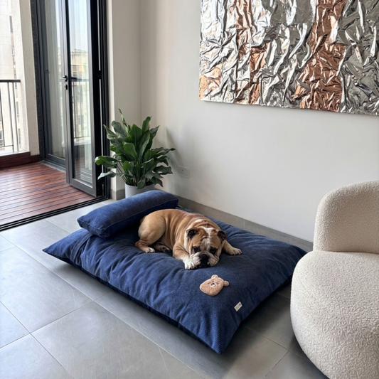 Flat dog beds | Dog beds with removable cover | PoochMate Beds | Crate dog beds online India