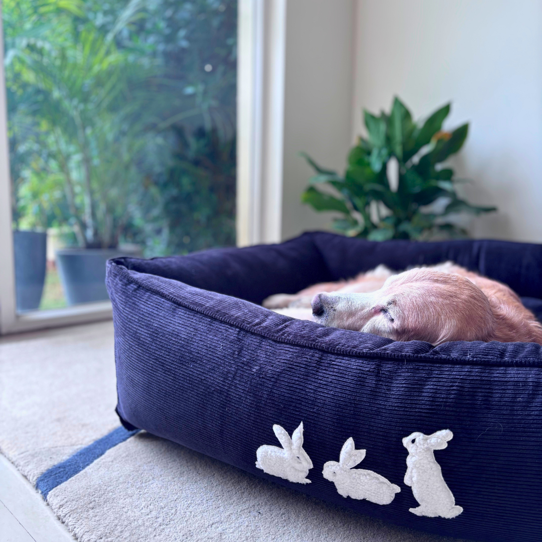 PoochMate Dog Bed | PoochMate Beds | Corduroy dog beds | Large dog beds online India