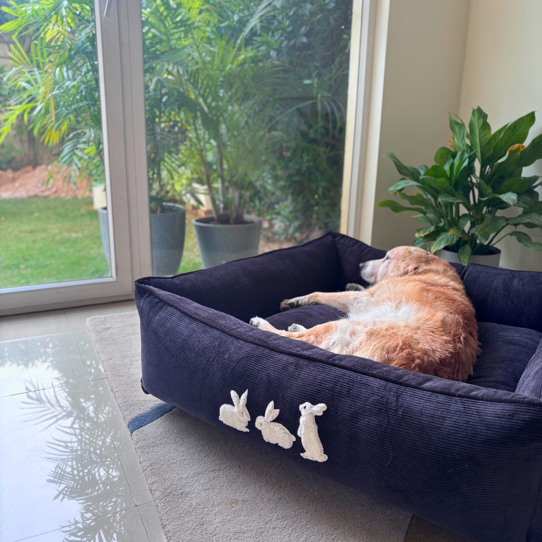 PoochMate Dog Bed | PoochMate Beds | Corduroy dog beds | Large dog beds online India