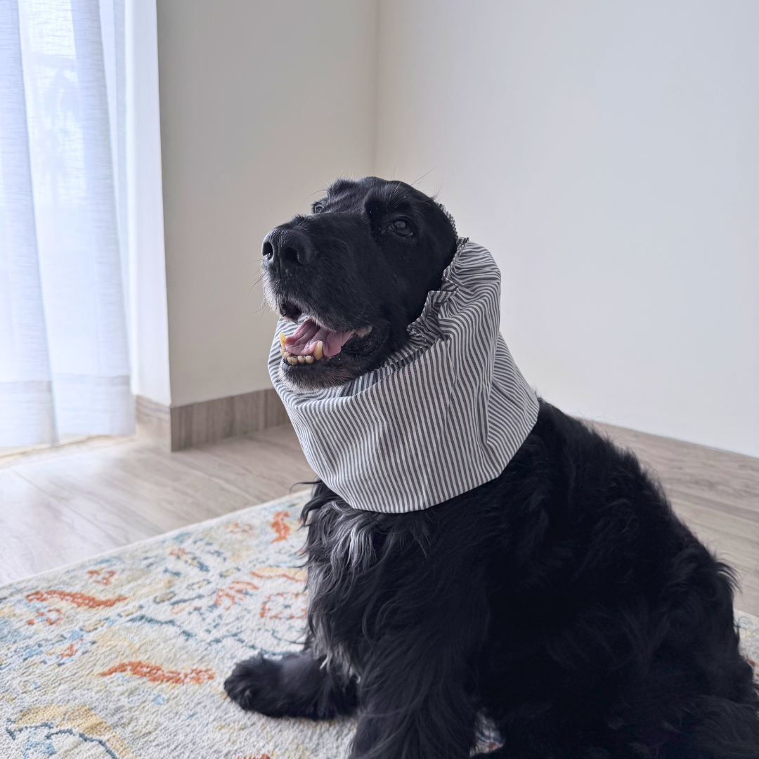 Dog Snood | Dog Snood for Cocker spaniel | Dog Snood for eating | Dog snood for walking | PoochMate Dog Snood | Dog Snood for ears | ear cover for dogs with long ears