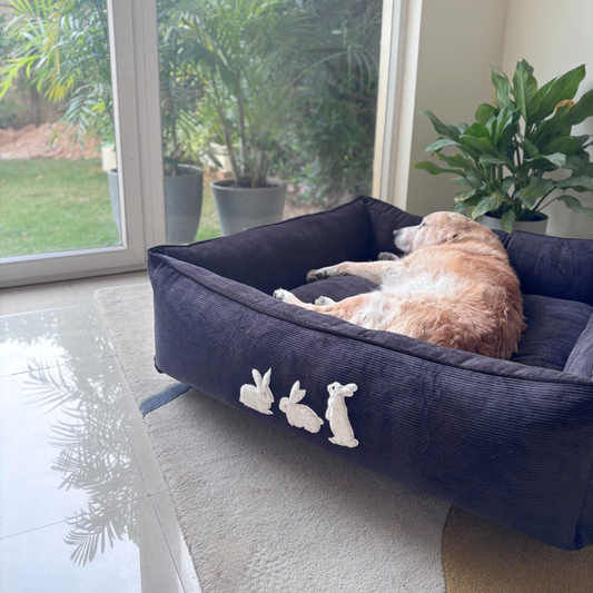 Washable Dog Bed | PoochMate Beds | Corduroy dog beds | Large dog beds online India