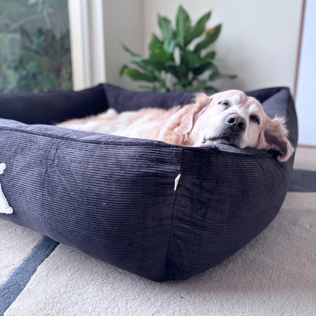 PoochMate Dog Bed | PoochMate Beds | Corduroy dog beds | Large dog beds online India
