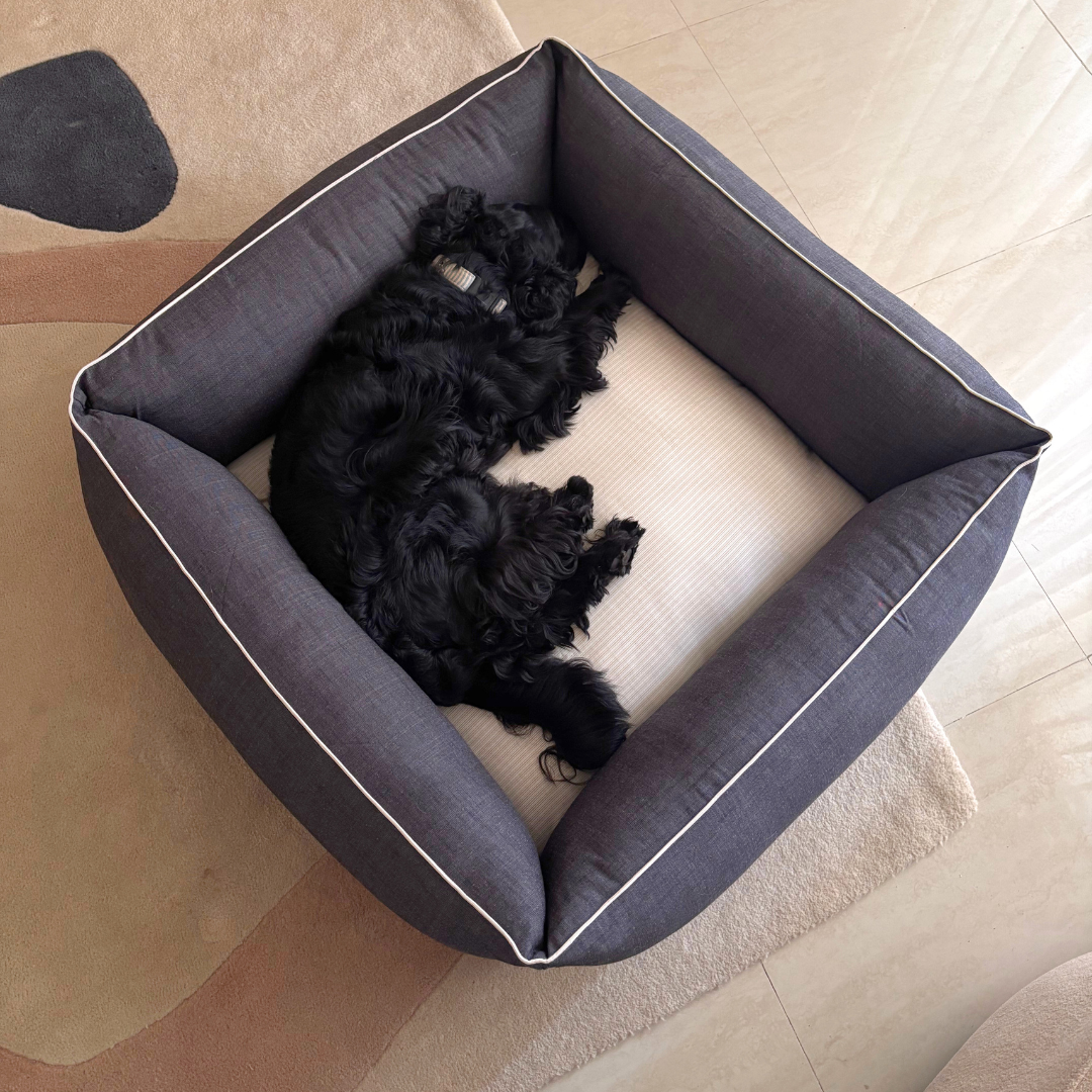 Hypoallergenic dog beds | Dog beds with removable covers