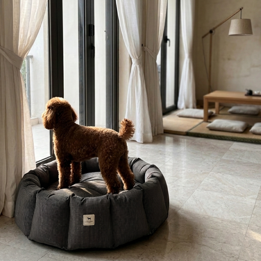 Round Dog Bed with raised sides | Washable Dog beds online India | Washable round dog beds India | Best curling beds for dogs India